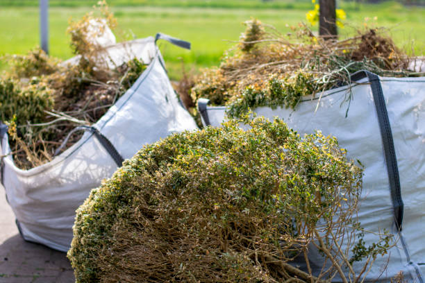 Best Yard Waste Removal  in Lake Isabella, MI