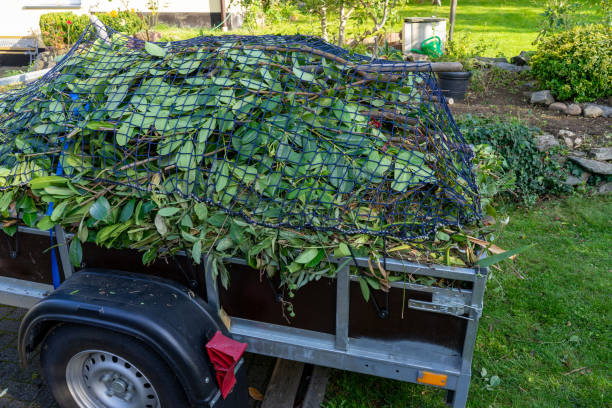 Professional Junk Removal Services in Lake Isabella, MI